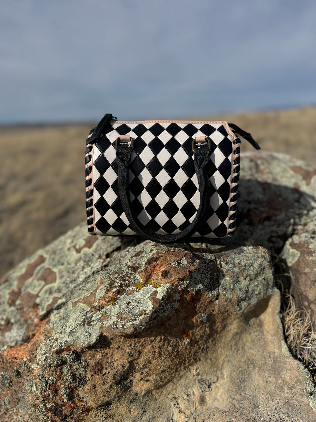 The Alice Handbag