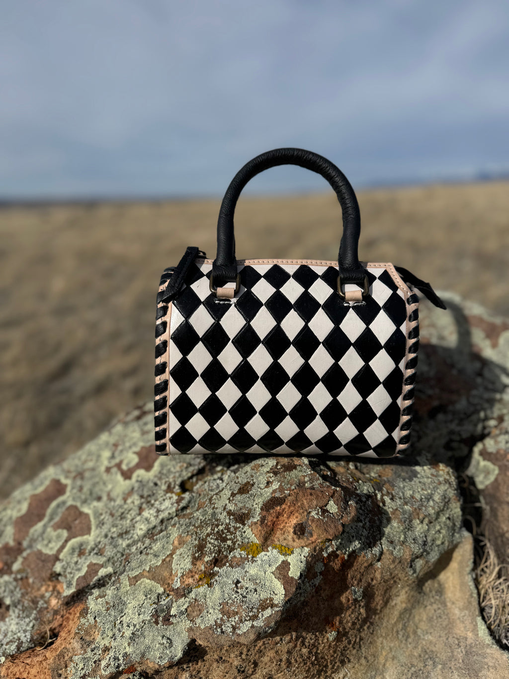 The Alice Handbag