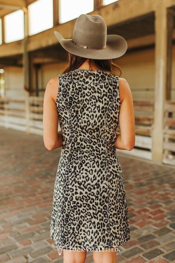 Brown Leopard Denim Button Down Dress
